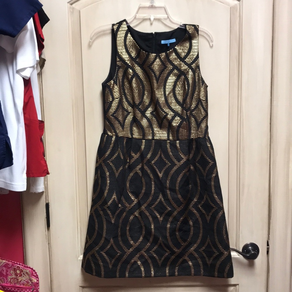 Antonio Melani black and gold pattern fit &flare